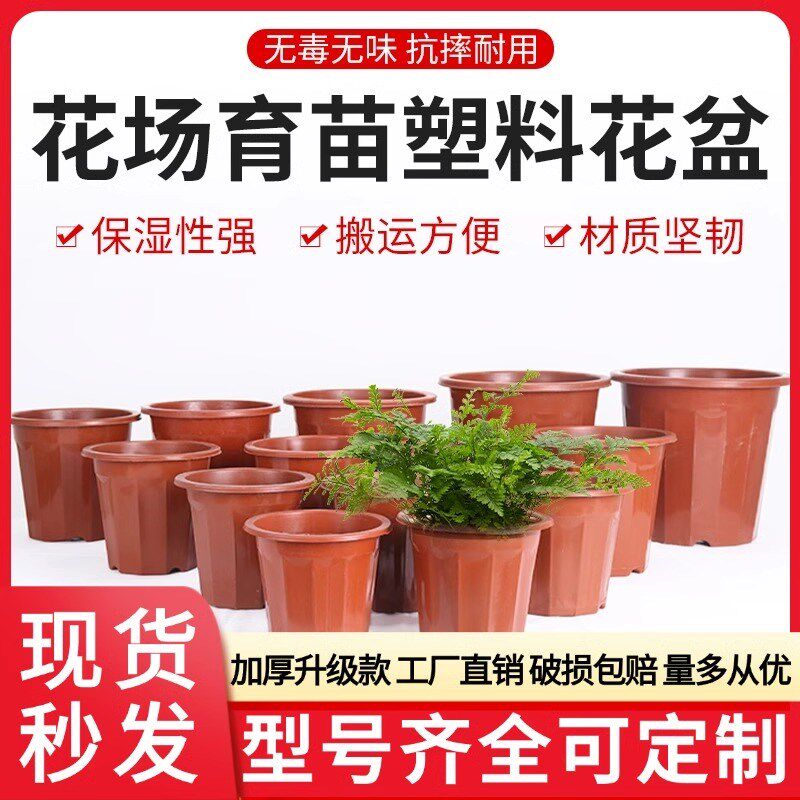 塑料花盆种植育苗盆营养杯加厚耐用园艺绿植盆多肉盆透气排水