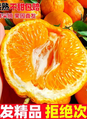农味诀四川春见耙耙柑当季新鲜桔子应季水果薄皮橘子正宗特级柑橘
