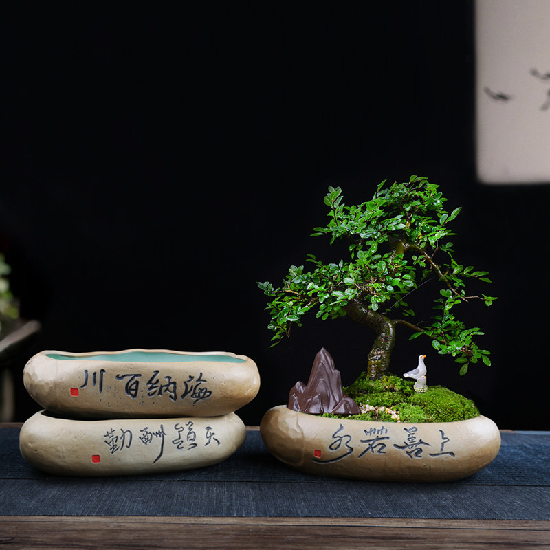 仿石头花盆菖蒲小盆景铜钱草专用水培水仙陶瓷特价清仓睡莲碗莲荷
