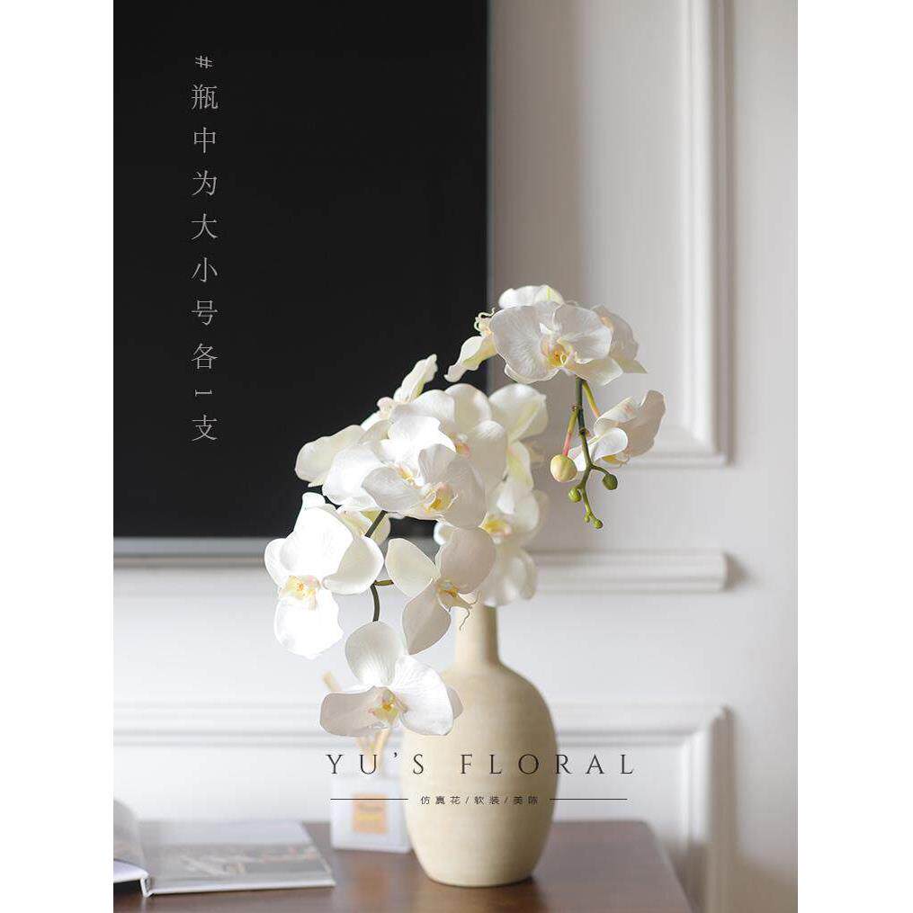 彷真花蝴蝶兰高彷真PVC手感假花装饰花艺造景样板间软装道影道具