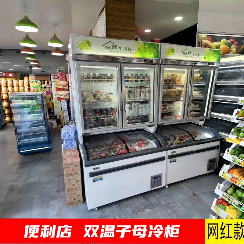 单门子母柜冷藏冷冻雪糕双温冰淇淋冰柜风冷展示柜出口一体机商用
