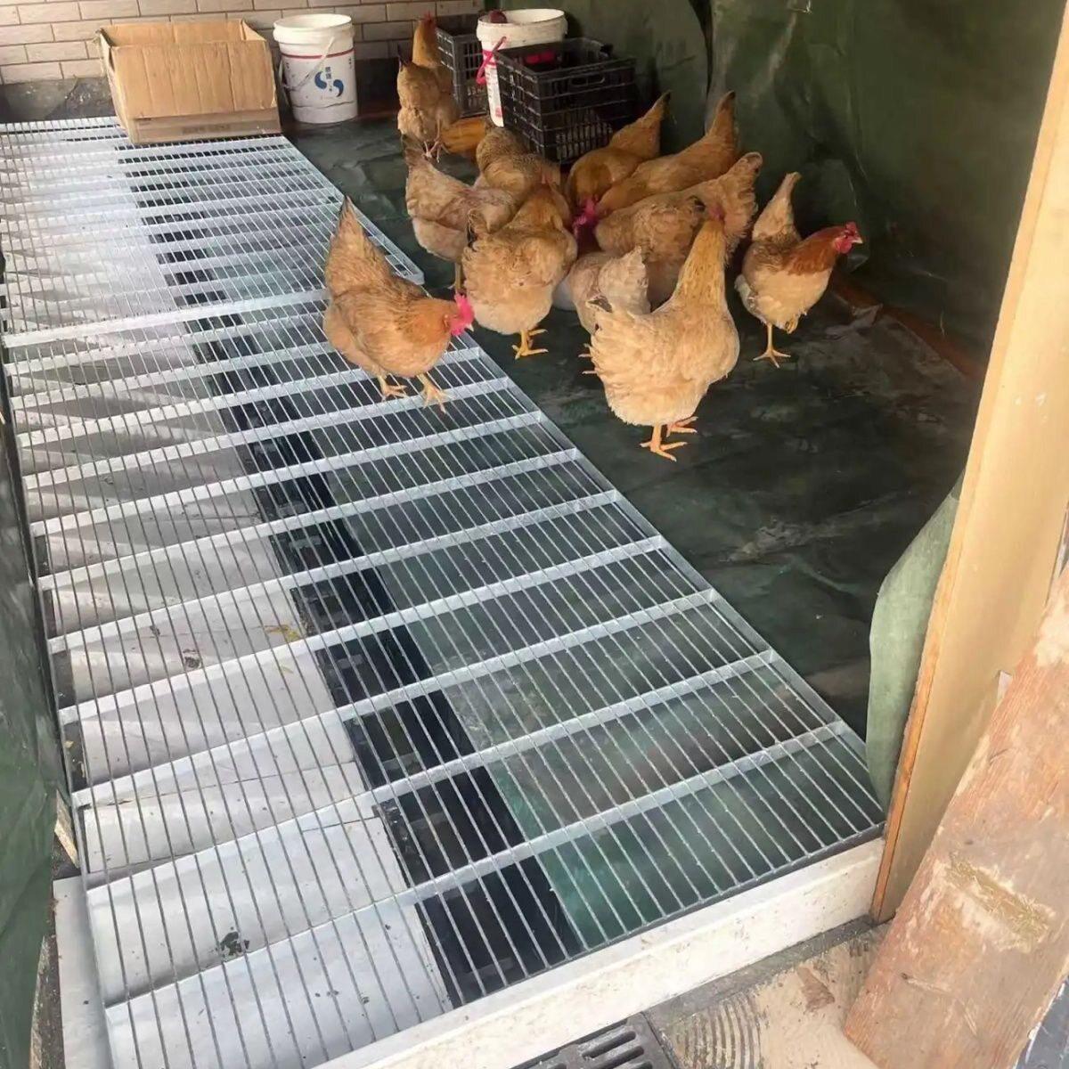 格栅地板鸡舍漏粪板养殖场专用排水网格板踏步热镀锌扁铁地网