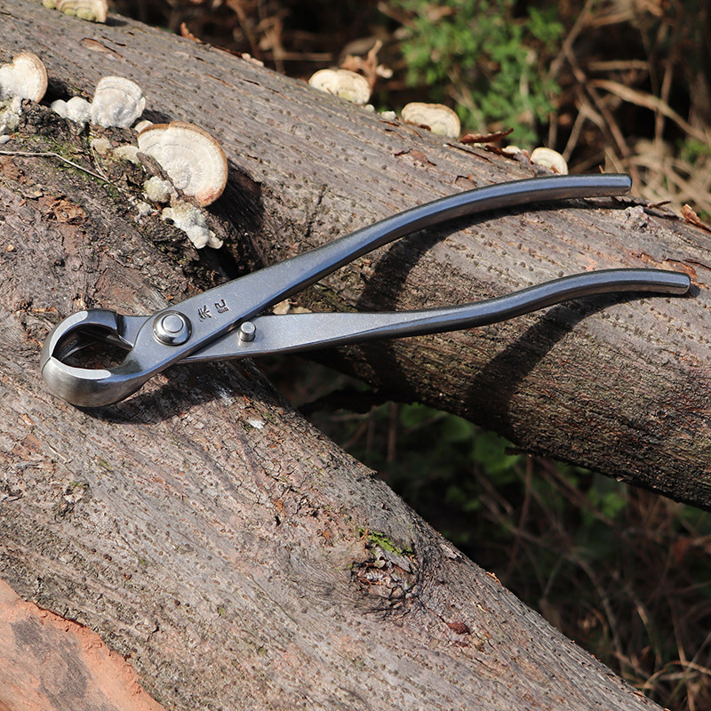 朱记球节剪球形剪专业盆景工具球钳盆栽造型树节修剪破枝剪不锈钢,鲜花速递/花卉仿真/绿植园艺,剪刀,淘宝优惠券,粉丝福利购,淘宝优惠卷