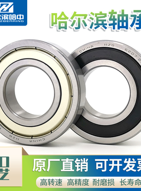 哈尔滨轴承6411 6412 6413 6414 6415 6416 6417 6418 6420 RS ZZ