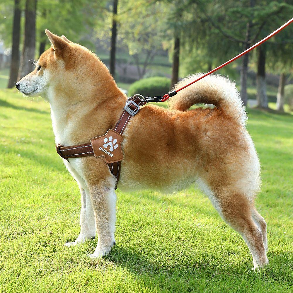 栓狗绳子防挣脱不勒脖狗狗牵引绳背心式柯基中大型犬胸背带可调节