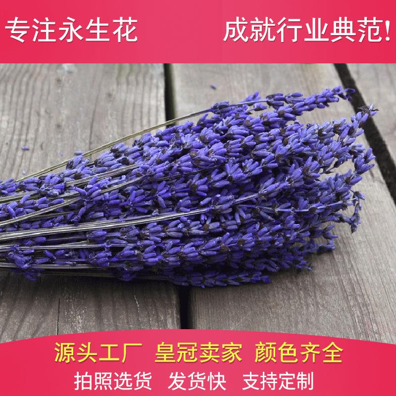 薰衣草干花 永生花 七夕情人节圣诞保鲜花资材 家居永生花DIY配材