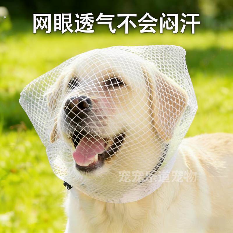 狗狗防乱吃头套防误食嘴套透气户外防偷吃头纱猫咪面罩宠物口罩