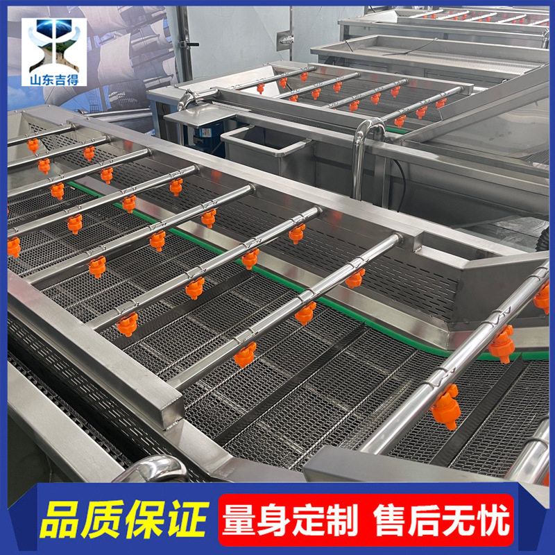 全自动野菜类清洗设备 薄荷叶桑叶去泥清洗机供应 菌类清洗流水线