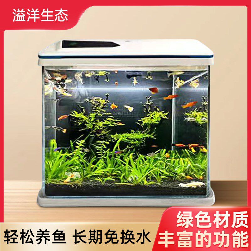 桌面小鱼缸玻璃鱼缸客厅小型家用桌面养鱼生态缸新款长方形水族箱