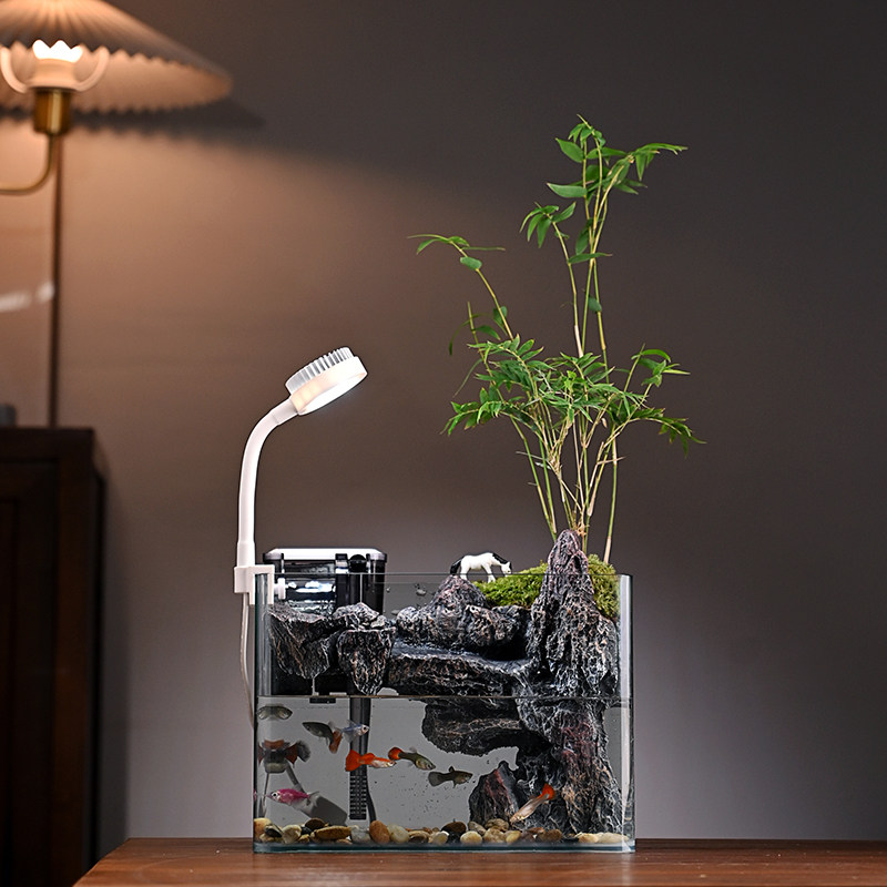 流水摆件米竹黄杨绿植盆景循环水鱼缸造景客厅办公室桌面开业礼品