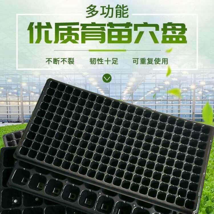 育苗盘穴盘加厚多肉育苗盆小黑方塑料营养杯栽植营养钵育苗杯苗盘