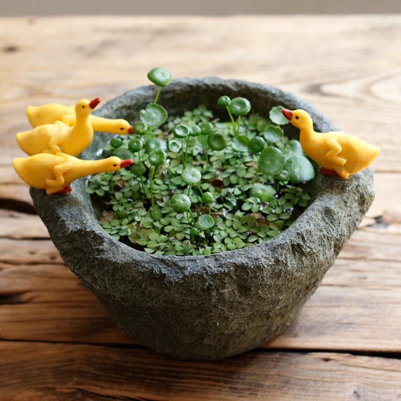 创意水培植物花盆个性多肉花器仿石臼小鸭子摆件盆栽简约开业礼物
