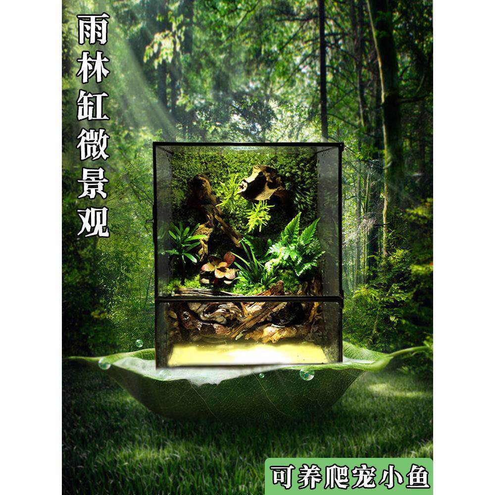 苔藓微景观雨林生态缸造景成品室内桌面植物盆栽全套流水鱼缸摆件