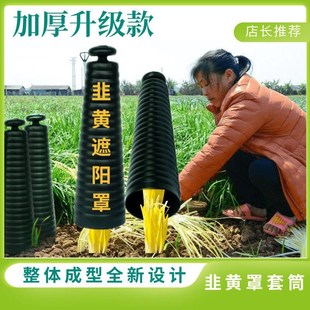 新型韭黄罩套筒韭黄罩隔光筒韭黄罩桶韭黄遮阳筒塑料韭黄罩子罩桶
