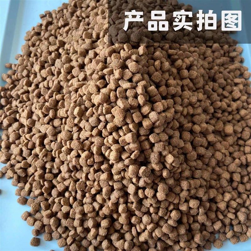 大午猫粮小颗粒无谷猫粮简装繁育增肥发腮美毛成猫幼猫全阶猫粮,宠物/宠物食品及用品,猫全价冷鲜粮,淘宝优惠券,粉丝福利购,淘宝优惠卷