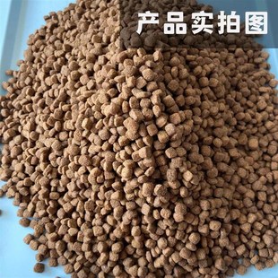 大午猫粮小颗粒无谷猫粮简装繁育增肥发腮美毛成猫幼猫全阶猫粮