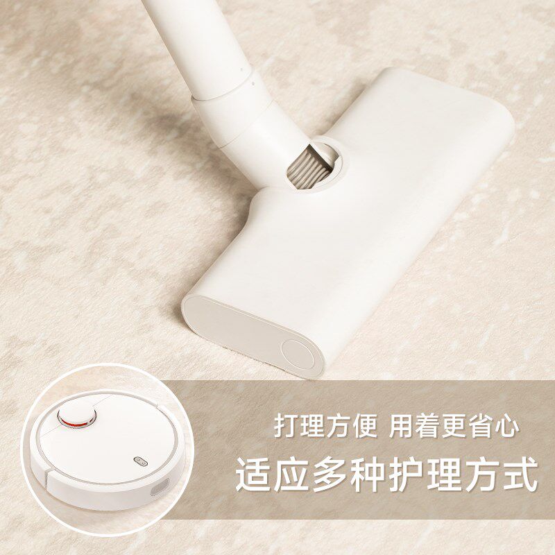 地毯客厅2024新款卧室地垫防水可擦免洗家用沙发轻奢高级感奶油风