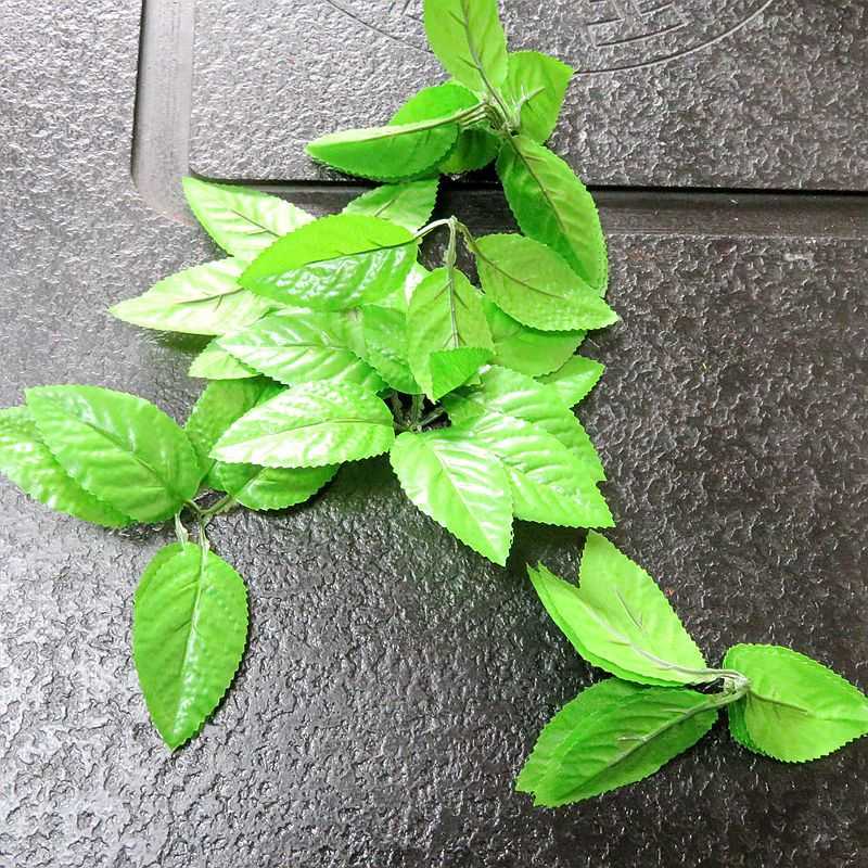 南阳照屏 仿真花绿叶假花射骨叶仿真绿植