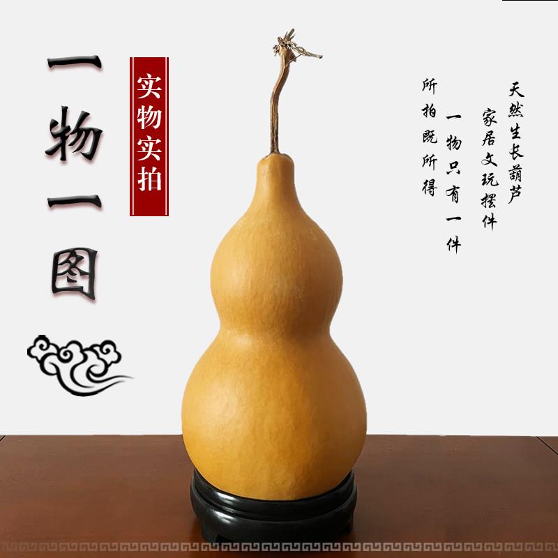 天然大葫芦一物一图亚腰特大大号葫芦客厅卧室家居摆饰