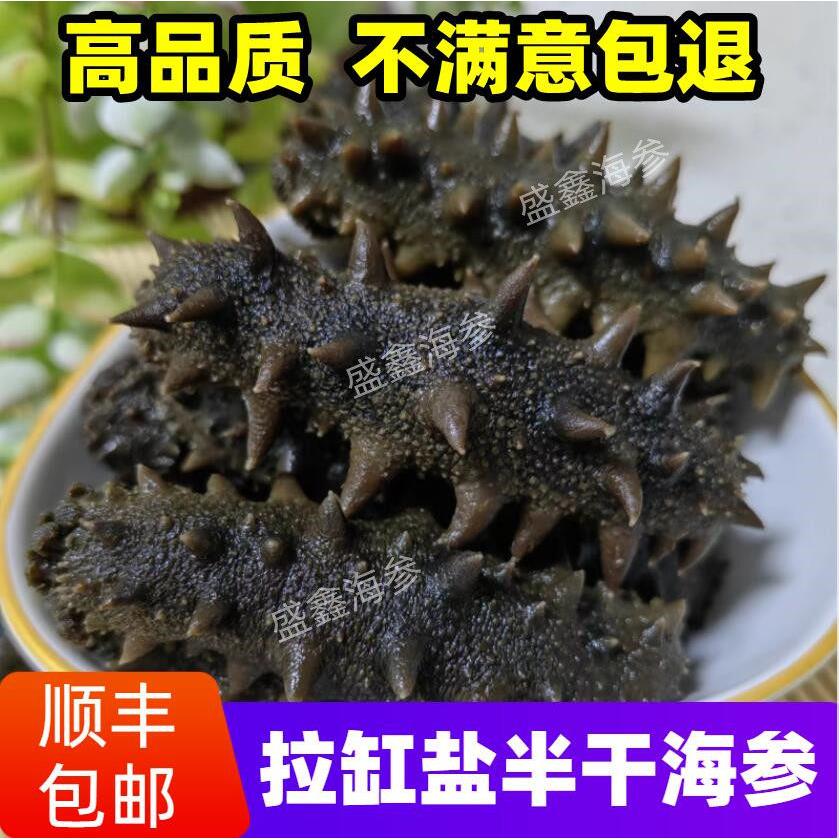 拉缸盐半干 干海参野生海底播半干 干海参非即食海参非干海参辽刺
