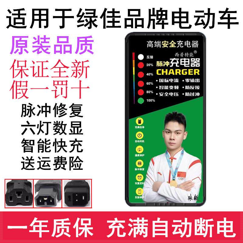 适用于绿佳电动车电瓶充电器48V12AH60V20A72V新国标内插自动断电