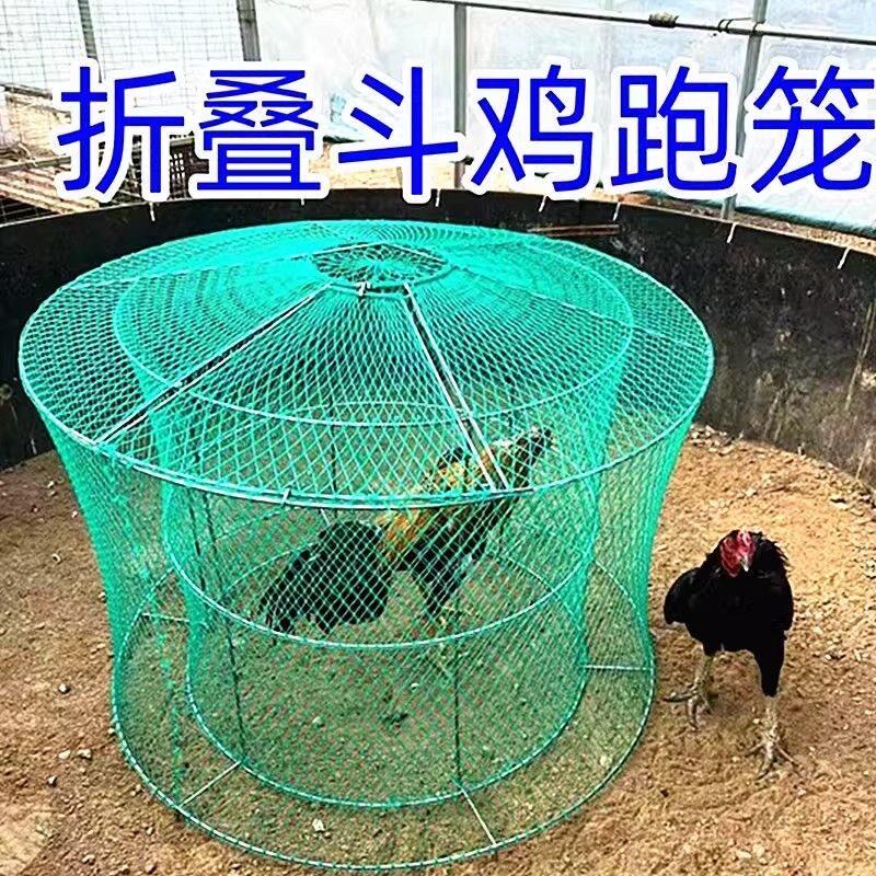 斗鸡跑笼斗鸡笼斗鸡折叠双层训练笼子鸡笼斗鸡罩笼养斗鸡专用品