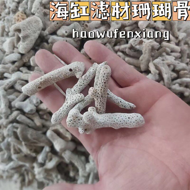 海缸滤材珊瑚骨鱼缸滤材优质珊瑚砂珊瑚石碎珊瑚骨装饰水族造景