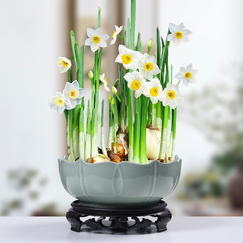 水培花盆陶瓷大号铜钱草睡莲一叶莲碗莲金钱草哥窑盆无孔水仙花盆,鲜花速递/花卉仿真/绿植园艺,花盆,淘宝优惠券,粉丝福利购,淘宝优惠卷