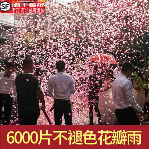 花瓣雨喷花筒手持礼炮礼花筒礼筒炮礼花炮结婚婚礼婚庆用品大全