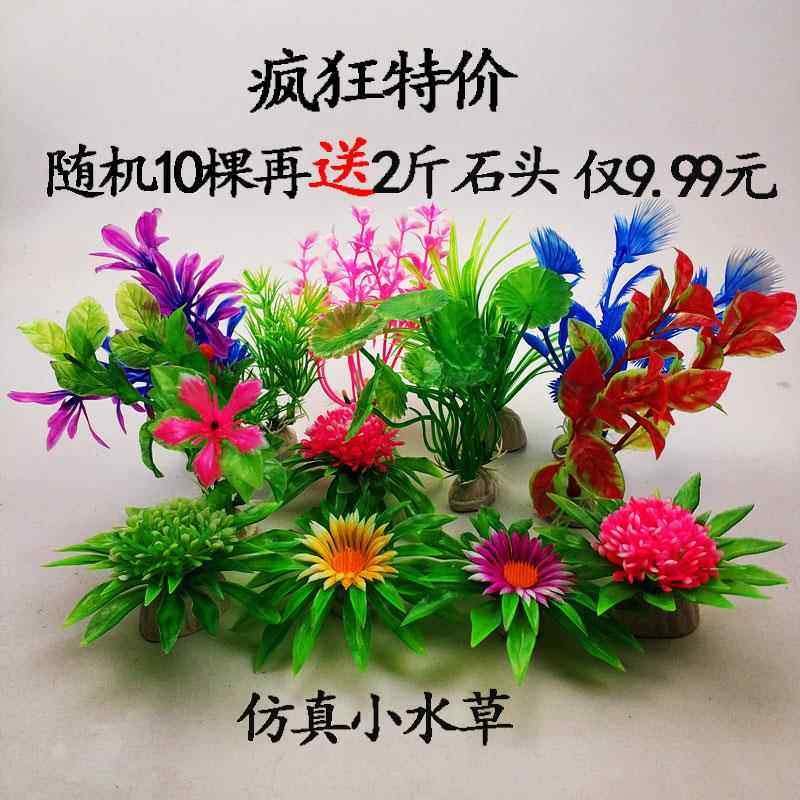 小鱼缸彩石造景仿真水草摆件水族箱乌龟缸装饰水草套餐假塑料水草,宠物/宠物食品及用品,造景/装饰,淘宝优惠券,粉丝福利购,淘宝优惠卷