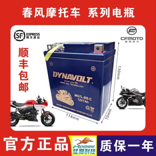 原厂春风摩托车原装电瓶250sr/ST狒狒/250nk/nk150/125/国宾/650