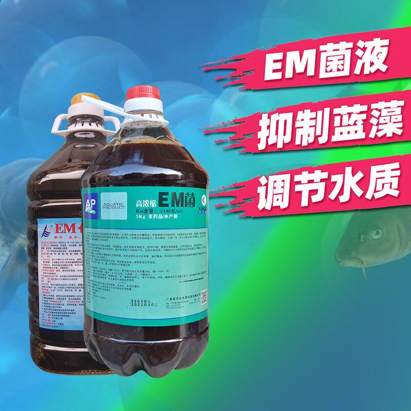 广州精博EM调水王水产em菌芽孢杆锦鲤鱼药池硝化细菌光合细菌调水