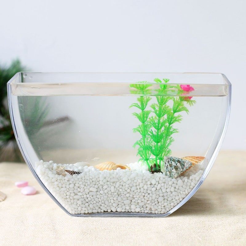 创意玻璃鱼缸半月形斗鱼金鱼缸水族箱小型客厅桌面懒人迷你水培缸,宠物/宠物食品及用品,桌面缸,淘宝优惠券,粉丝福利购,淘宝优惠卷
