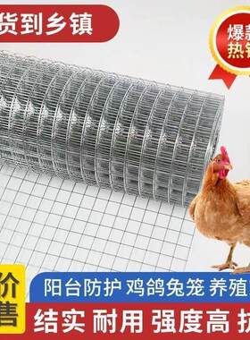 镀锌钢丝网围栏防鸟防鼠加厚铁丝网养殖围栏养鸡兔笼阳台防护铁网