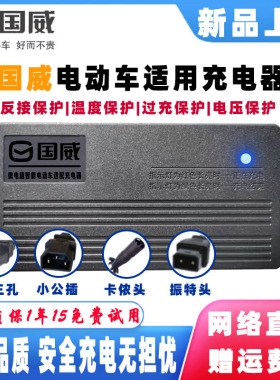国威电动车电瓶智能充电器48V12AH60V20AH72伏32AH84V96V50AH电摩