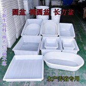 养鱼卖鱼长方形方型塑料盆洗菜加厚耐用大盆水产养殖特大专用大号