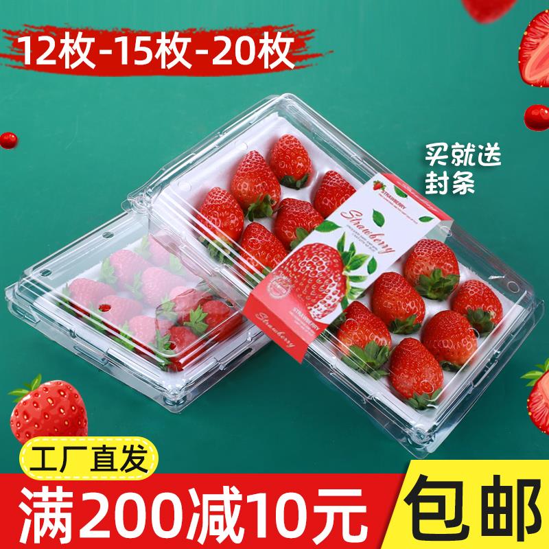 草莓盒包装盒子高档透明塑料打包盒带盖防震快递保鲜水果盒一次性