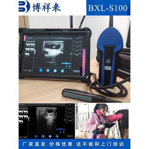 兽用B超机猪用B超母猪b超机 羊用b超仪 牛用B超马用B超测孕仪鹿用