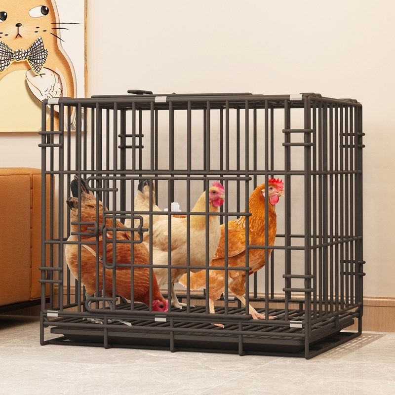 鸡笼子家用室内外养鸡笼大号自动清粪折叠养殖笼鸡舍铁丝网鸭鹅笼