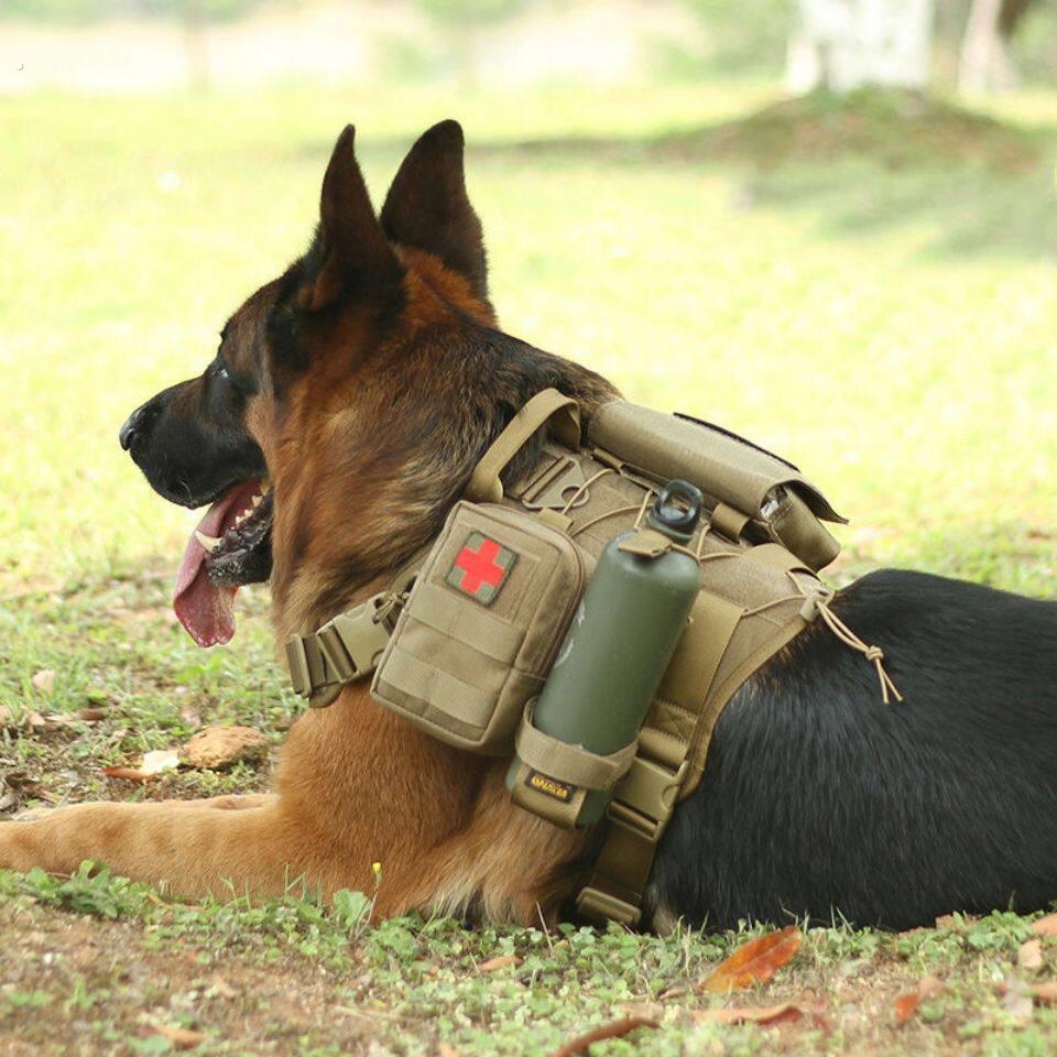 马犬训练专用项圈牵引绳狗狗战术胸抱婴袋背心式套装户外训练装备