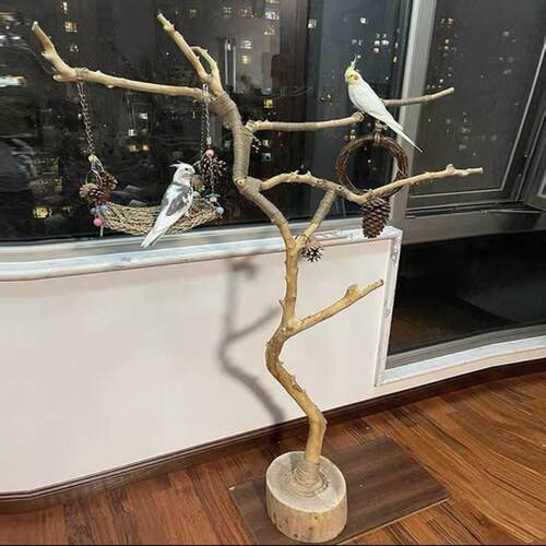 鹦鹉站架小鸟架枝树干鸟站架鹦鹉宠物落地式树杈艺术干燥树枝枯木