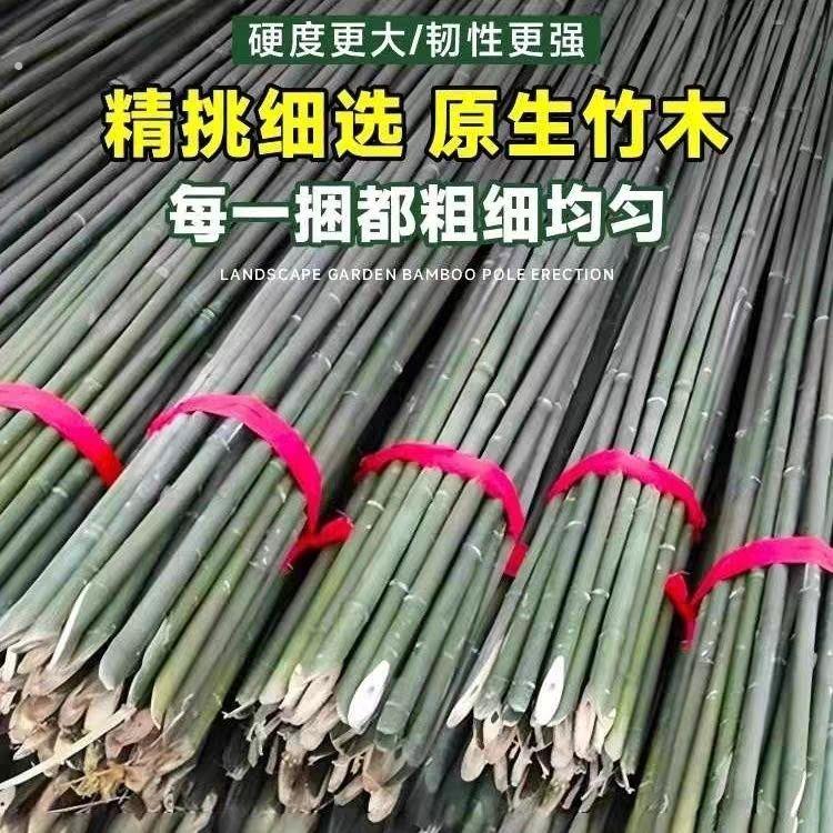 竹竿菜园搭架竹子户外旗杆黄瓜豆角爬藤菜架竹杆支架豇豆搭架杆