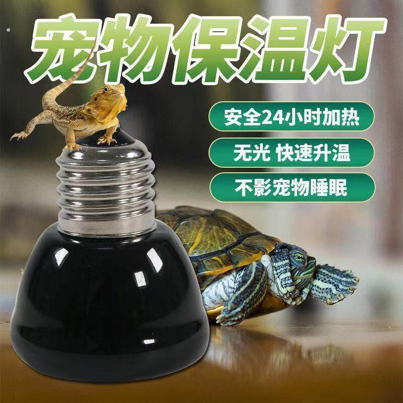 爬宠陶瓷加热灯陆龟蜥蜴刺猬保温灯鹦鹉芦丁鸡灯箱无光恒温取暖灯