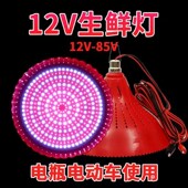 12V24V48V地摊灯夜市低压电瓶灯生鲜灯猪肉灯水果熟食灯红光变色