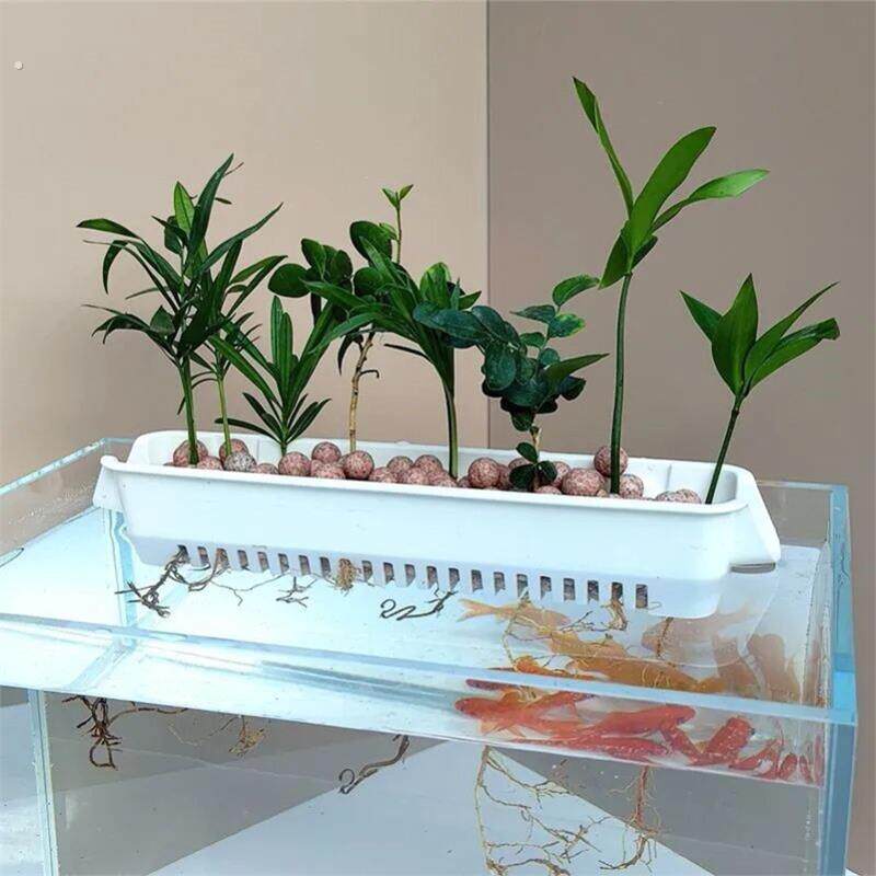 水培固定篮水培定植篮壁挂式水培篮挂壁式种植杯造景水培器皿挂篮