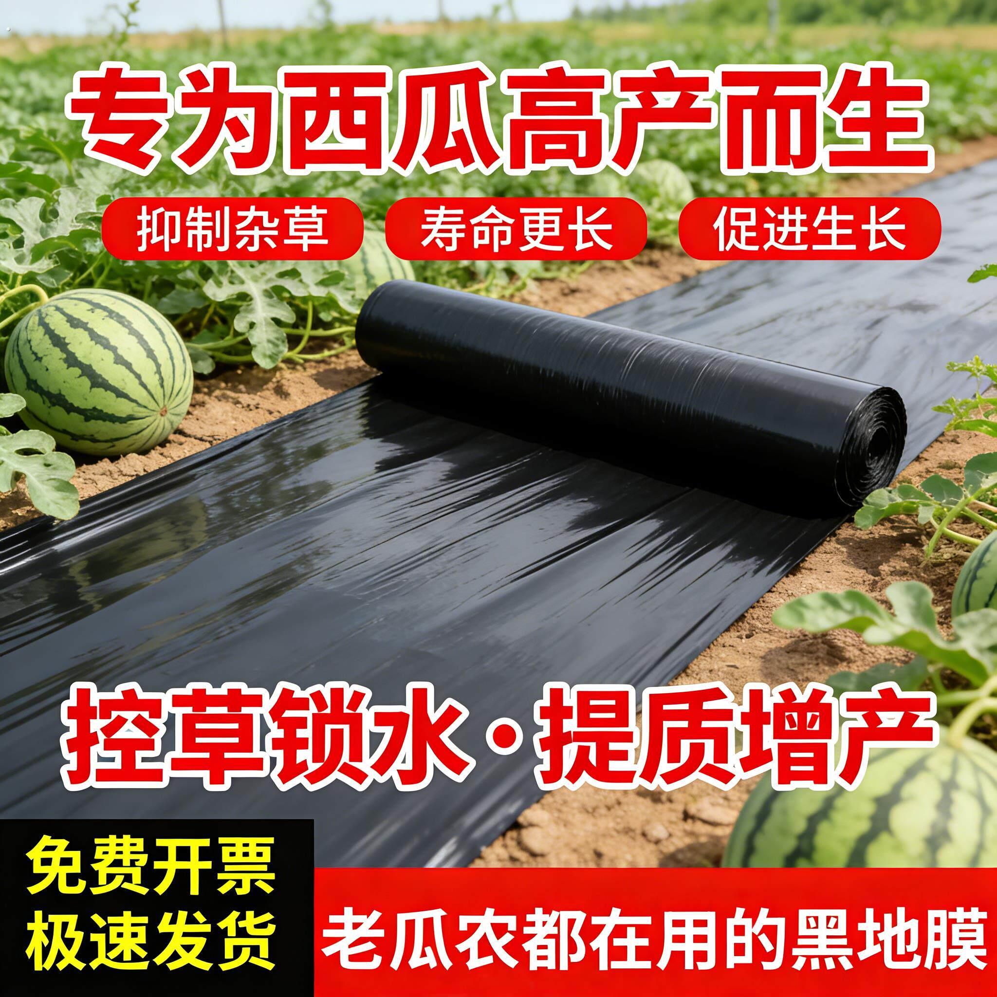 西瓜专用黑色地膜加厚小菜园盖菜防长草农用种植西瓜薄膜定制