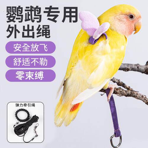 鹦鹉牵引绳超轻不勒外出抱婴袋训练溜鹦鹉鸟神器虎皮牡丹玄凤放飞