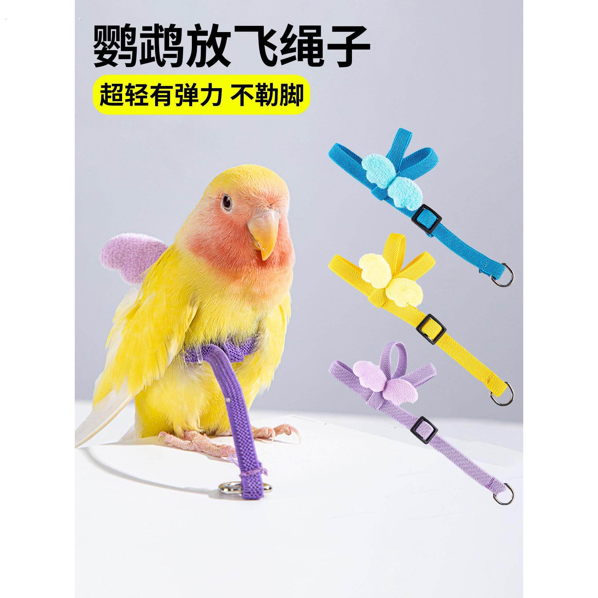 小鸟鹦鹉放飞绳子外出牵引绳遛鸟绳神器虎皮牡丹玄凤专用超轻抱婴