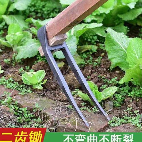 农用手工锻打锄头翻地松土工具种菜家用挖地多功能锰钢二齿锄耙子
