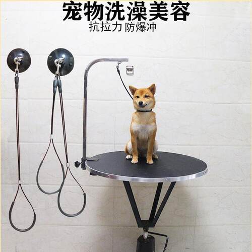 宠物美容吊绳挂绳美容桌吊绳子狗狗猫咪洗澡固定绳钢丝绳强力吸盘